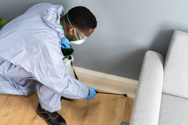 Emergency Pest Control Services in Marianna, AR